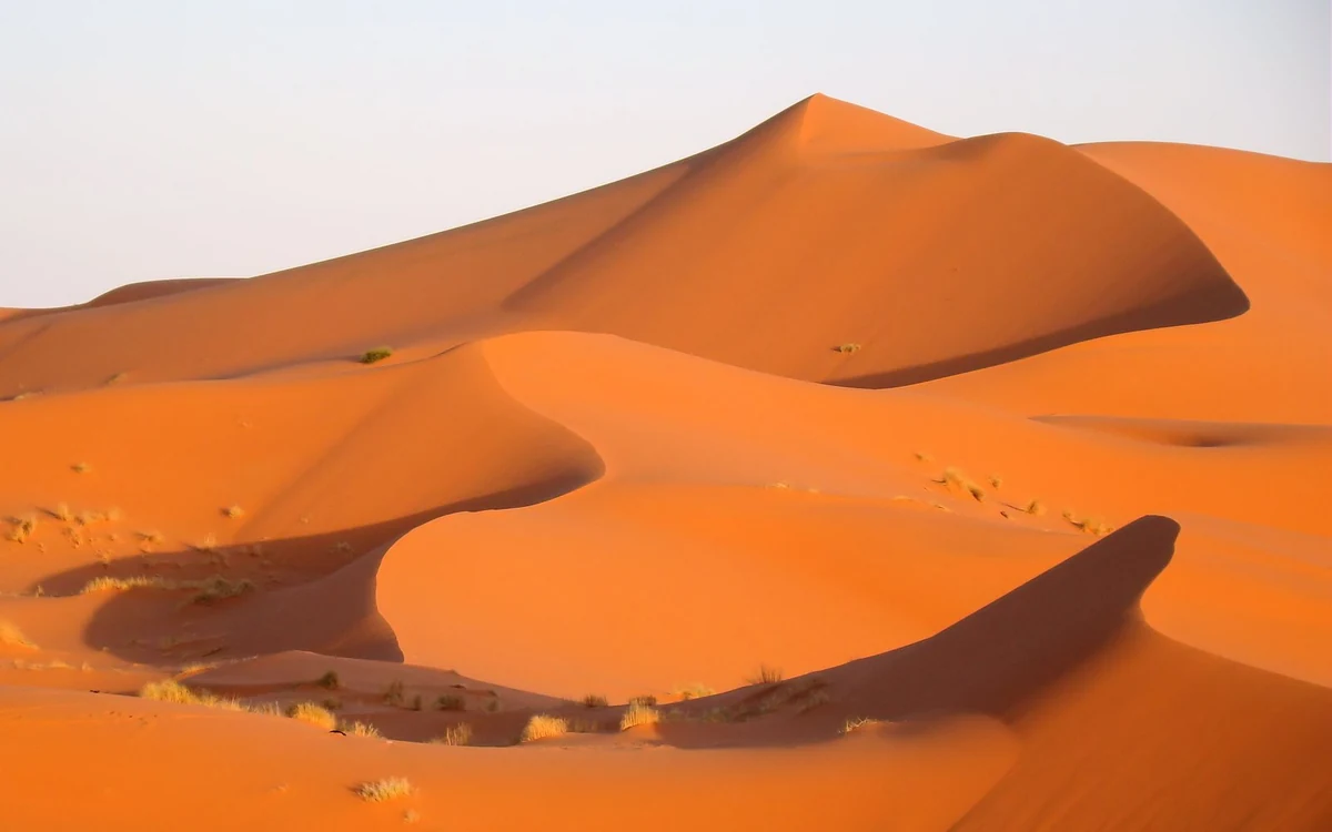Orange dunes with sharp ridges and tufts of desert grass
