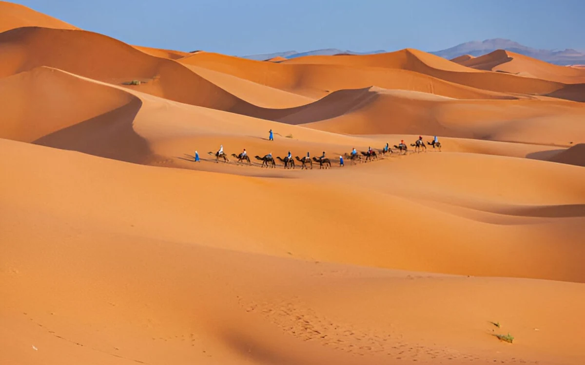 A line of camels and riders crossing tall orange dunes