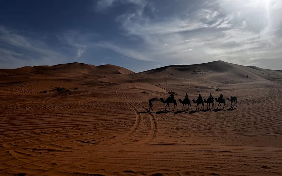 A small camel caravan far away on a dark dune under cloud