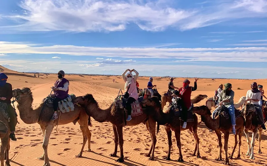 Riders lined up on camels on the sand under a wide blue sky