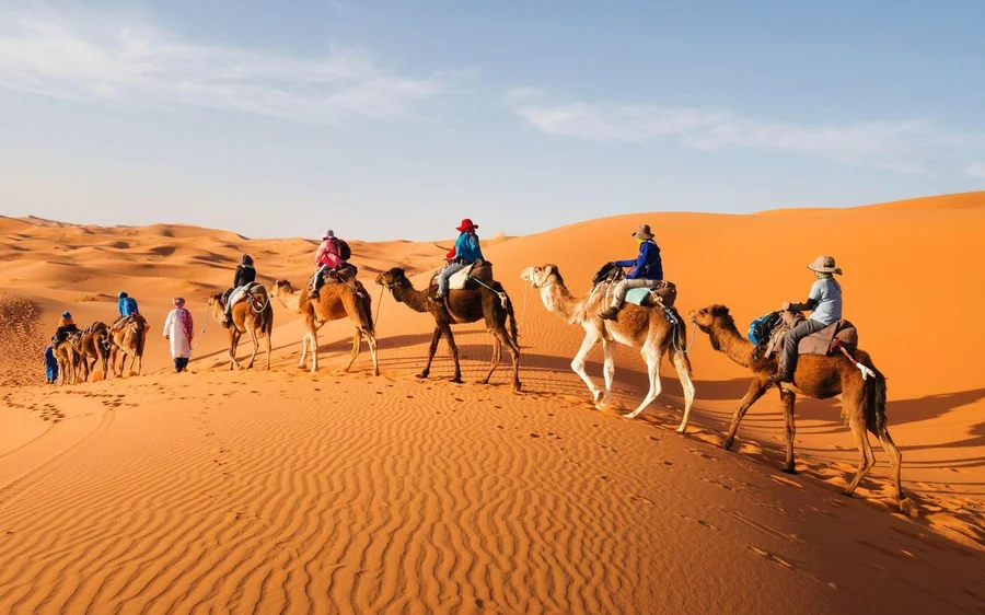 Riders on camels climbing a dune in the late afternoon sun